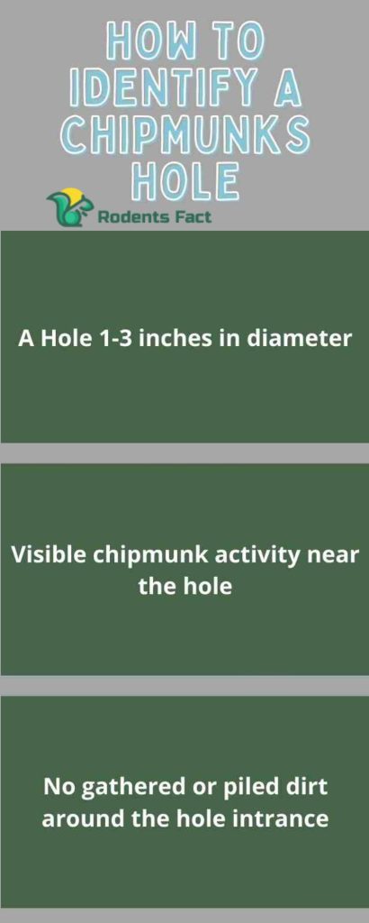 How To Identify A Chipmunks Hole