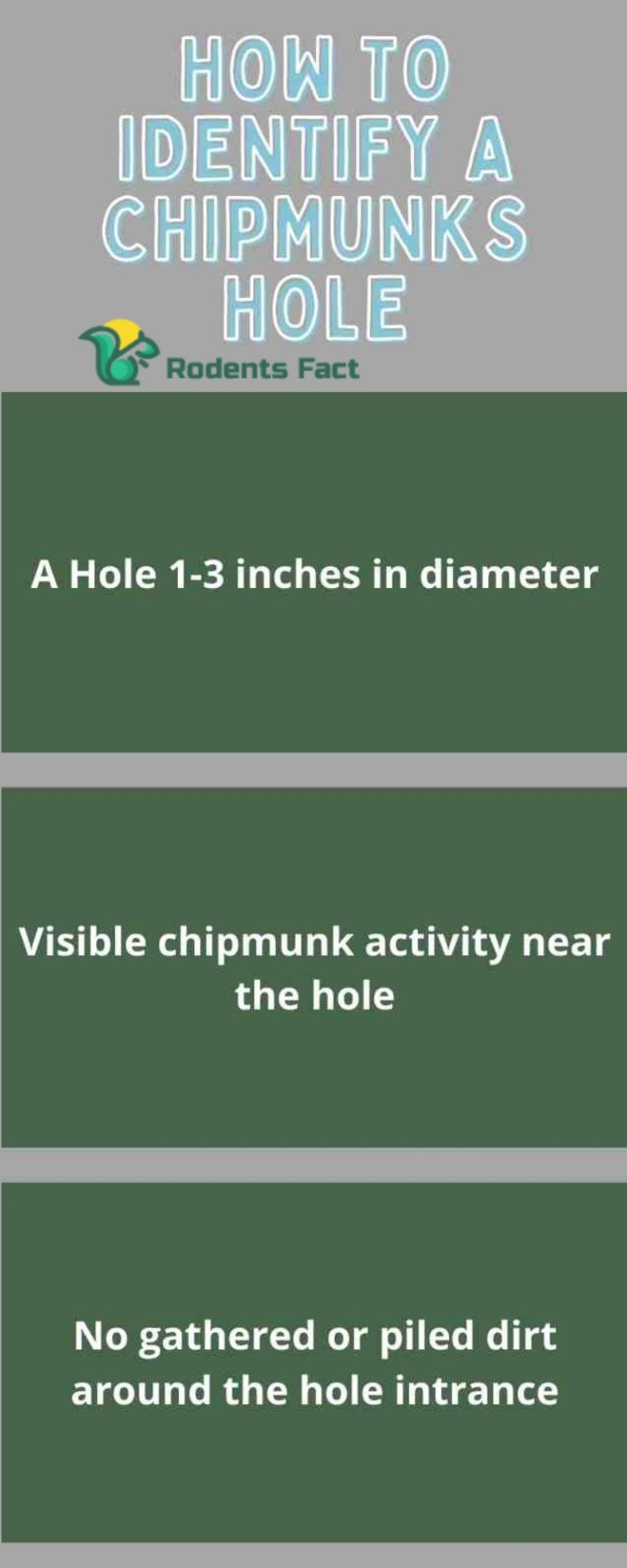How To Fill Chipmunk Holes? Learn The Best & Efficient Methods