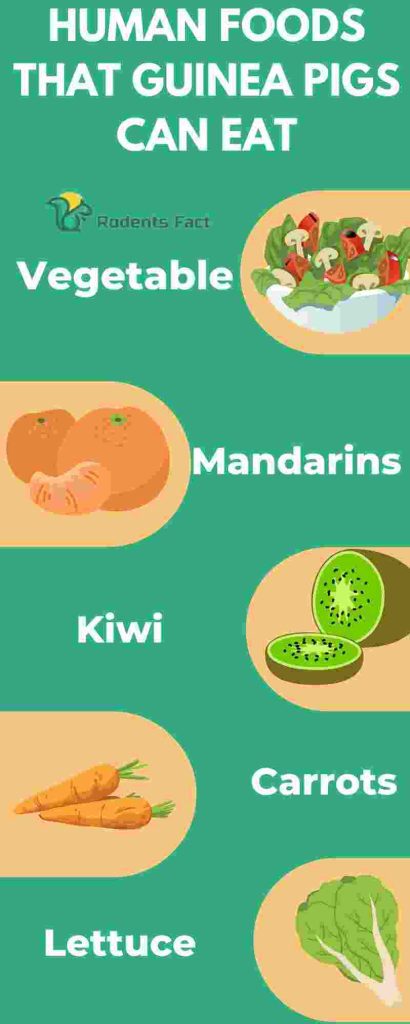 What human food clearance can guinea pigs eat