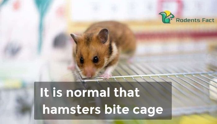 It is normal hamsters bite cage