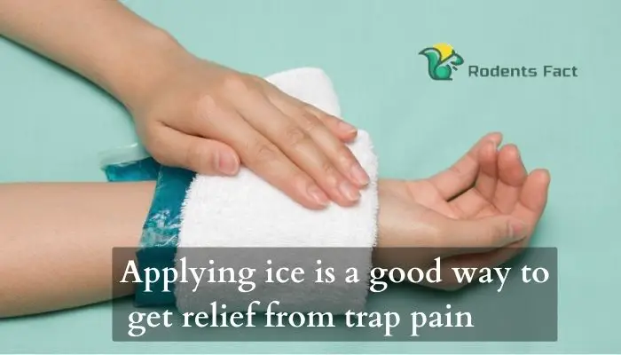 Applying ice is a good way to get relief from trap pain