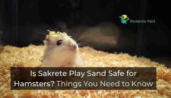 Is Sakrete Play Sand Safe for Hamsters? Know the Details