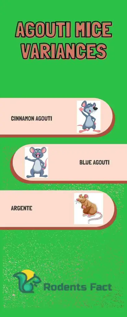 Agouti Mice Variances