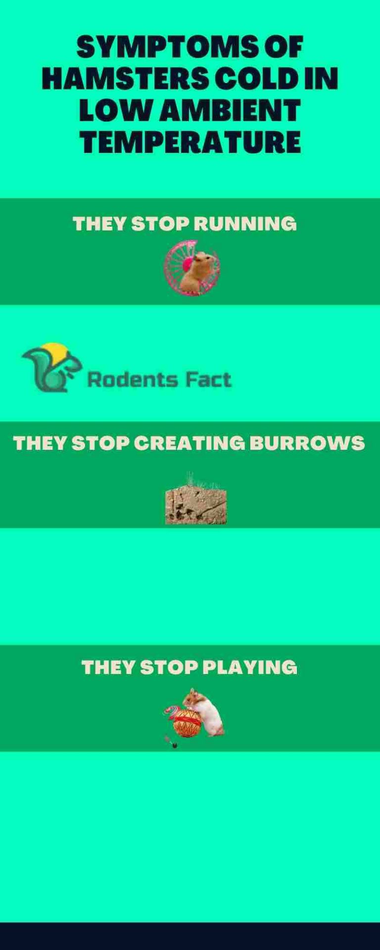 My Hamster Is Cold and Wobbly What Can Be the Reasons?