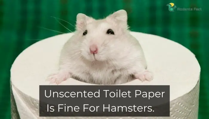  Unscented Toilet Paper Is Fine For Hamsters.