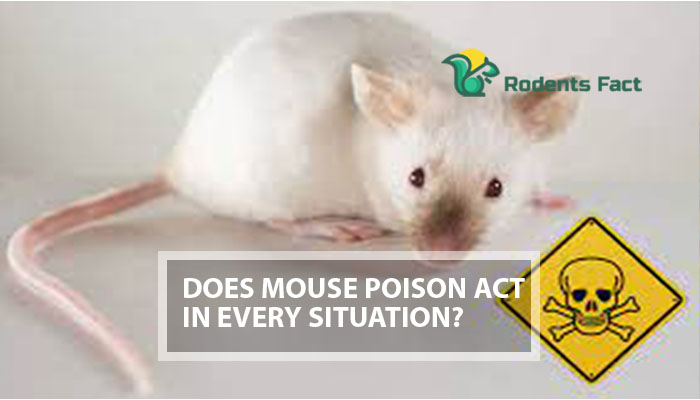 Does Mouse Poison Act in Every Situation