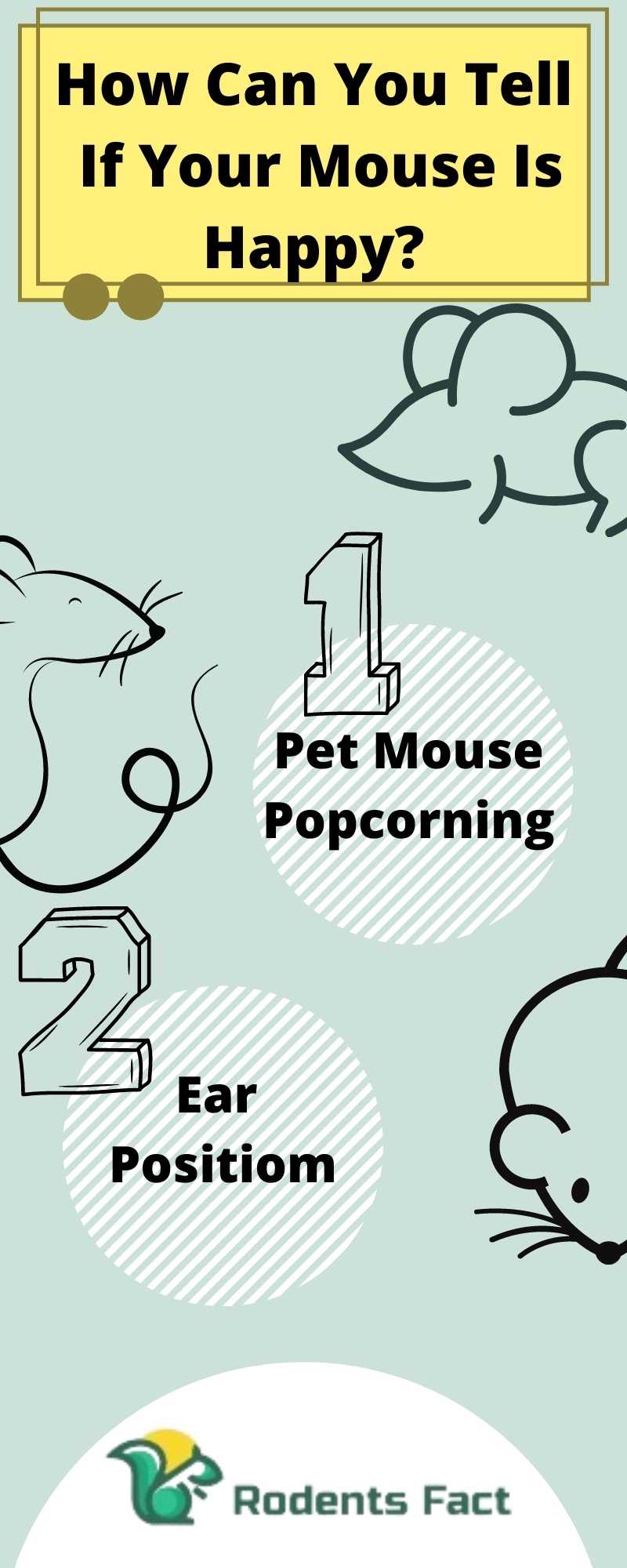 Why Does My Pet Mouse Keep Jumping? Knowing Cheerful Facts