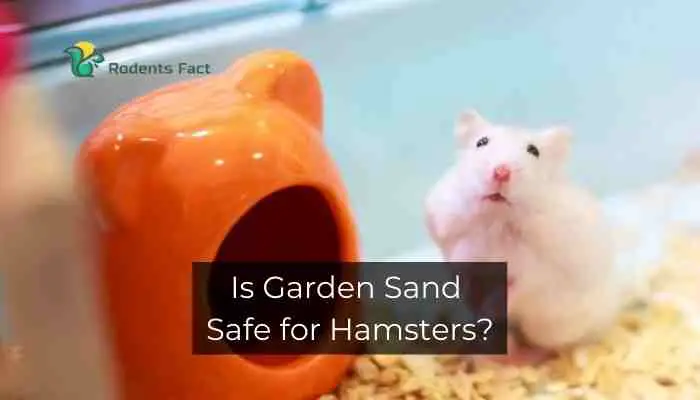 Is Garden Sand Safe for Hamsters
