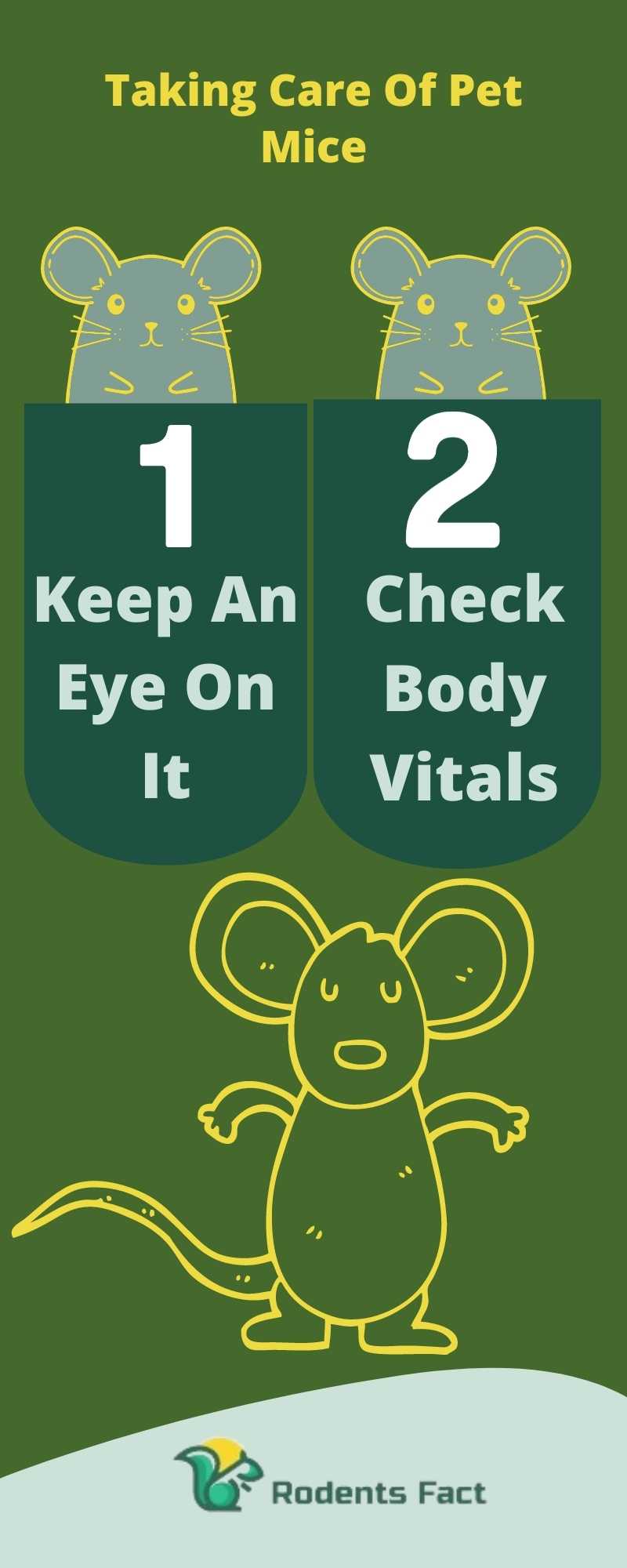 Why Do My Pet Mice Keep Dying? Understanding Pet Mice Health Condition