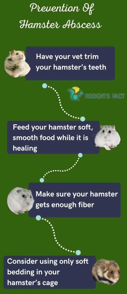 Prevention Of Hamster Abscess