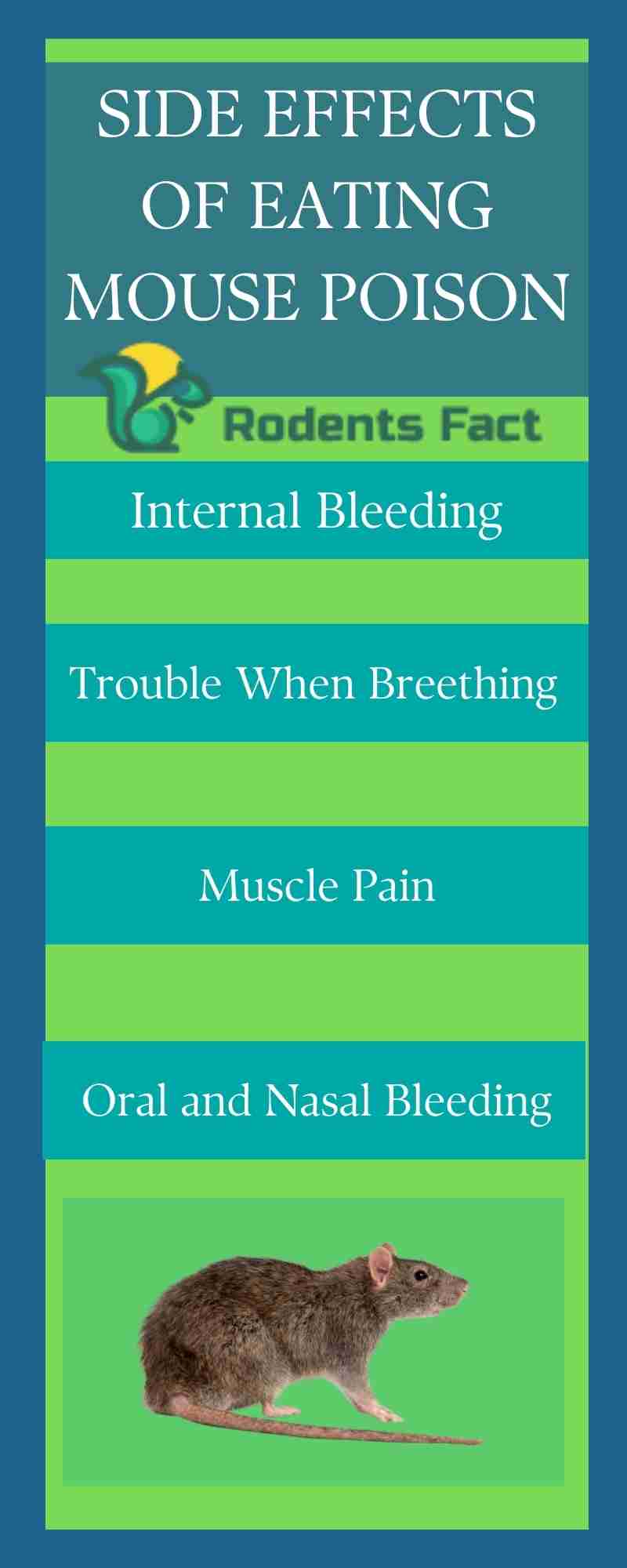 How Mouse Poison Works Effectiveness of Mouse Poison