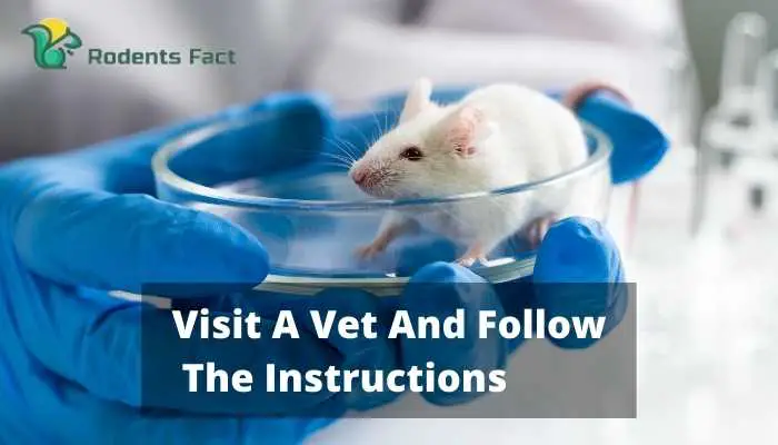 Visit A Vet And Follow The Instructions