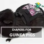 Diapers for Guinea Pigs