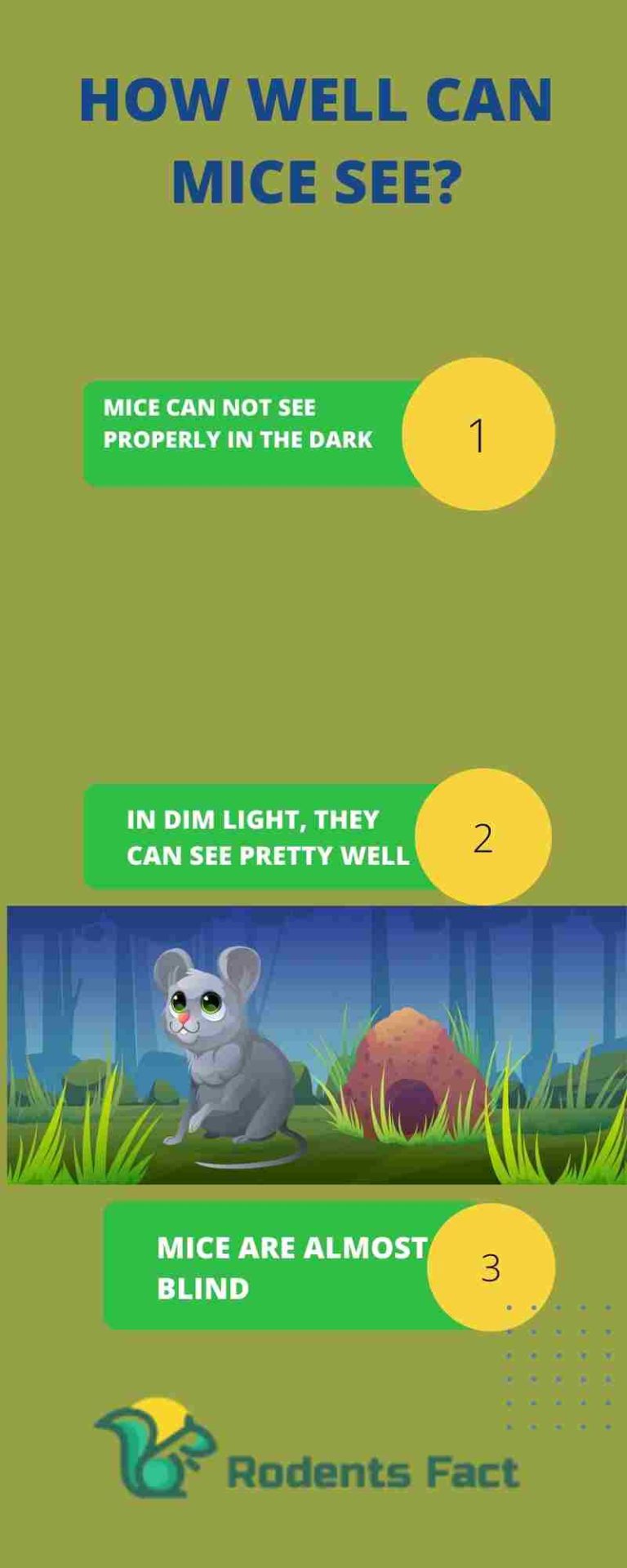 Can Mice See in the Dark? The vision of the Little Rodents