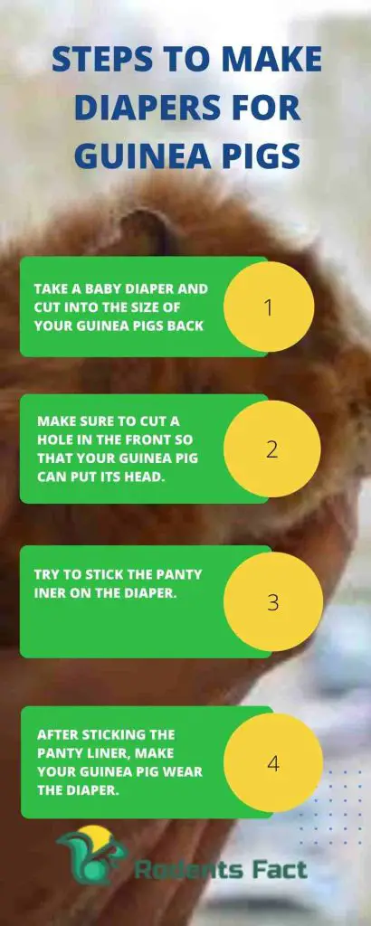 Steps to Make Diapers for Guinea Pigs