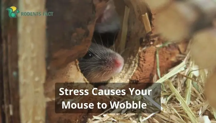 Stress Causes Your Mouse to Wobble