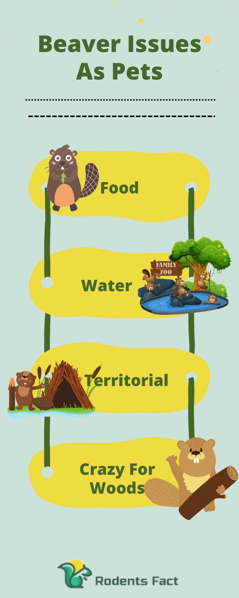 Beaver As Pet How Ideal Are These Rodents As Pets?