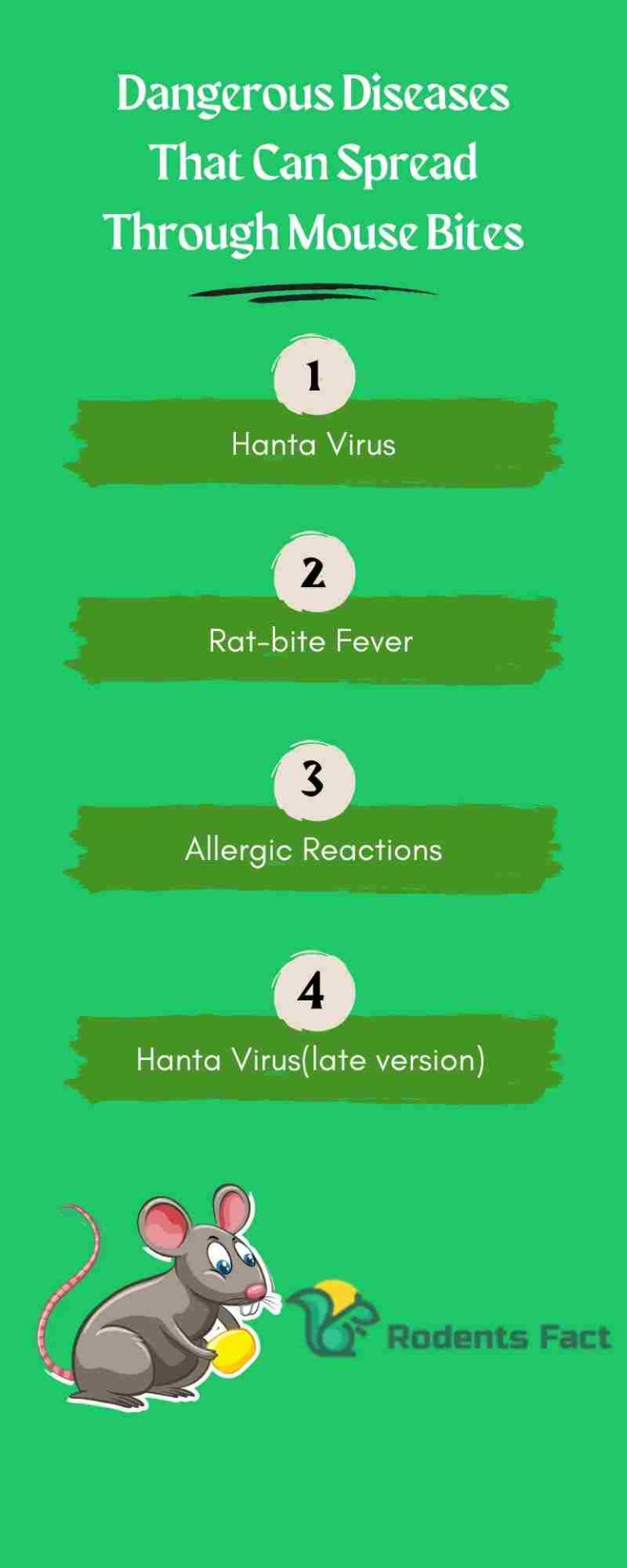 Mouse Bite Treatment 4 Dangers, and Remedies of Mouse Biting