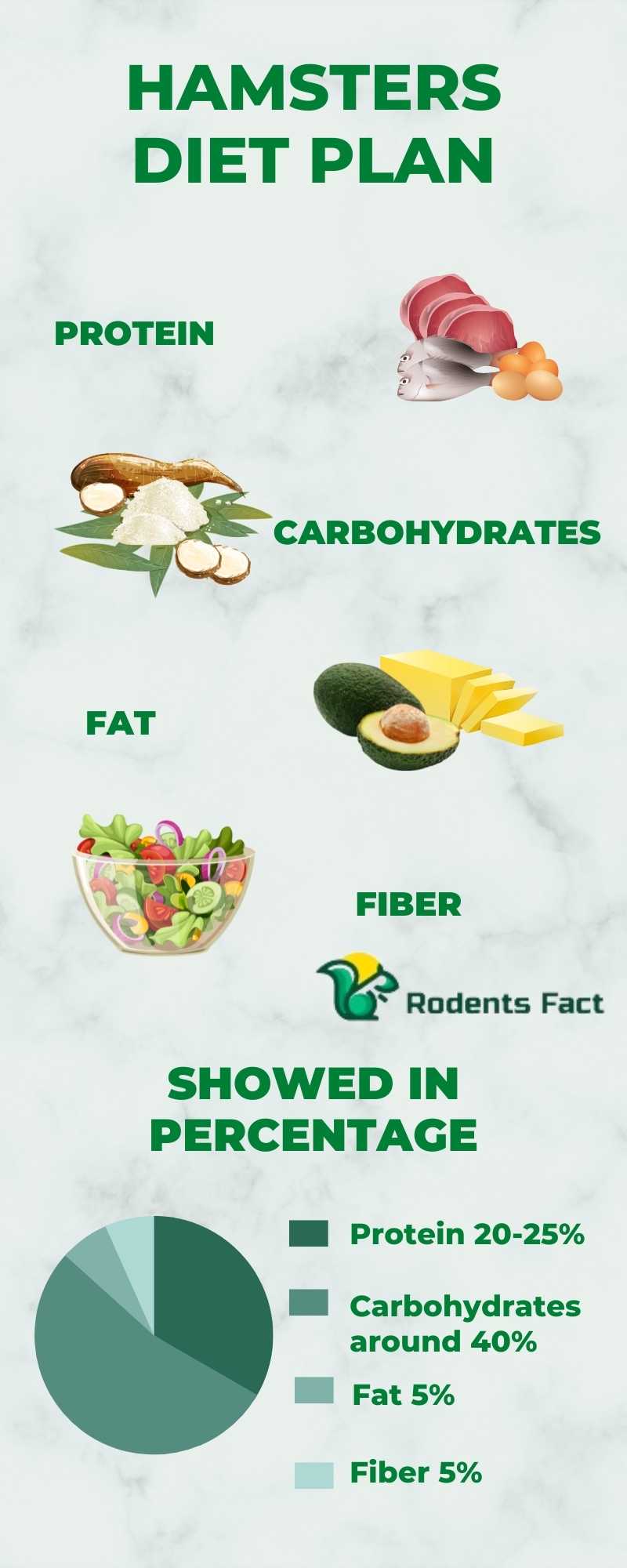 Can Hamsters Eat Guinea Pig Food? Learn Important Facts