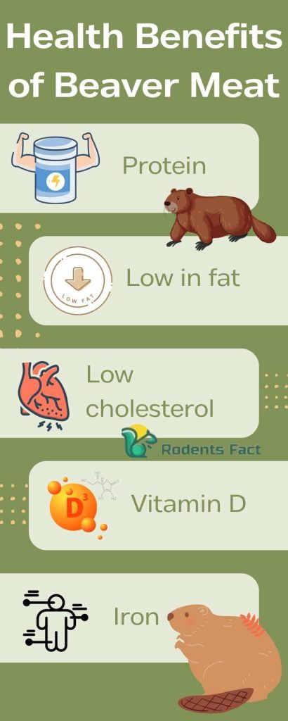 Health Benefits of Beaver Meat