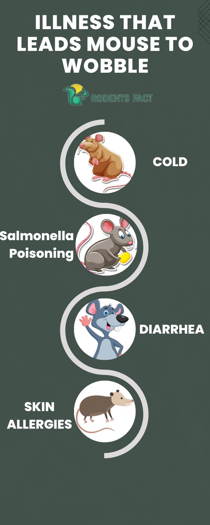 The Alarming Reasons Why Is My Pet Mouse Wobbling