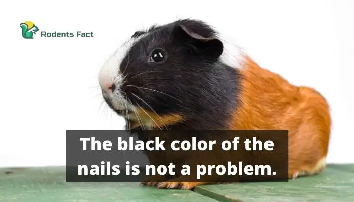 The black color of the nails is not a problem.