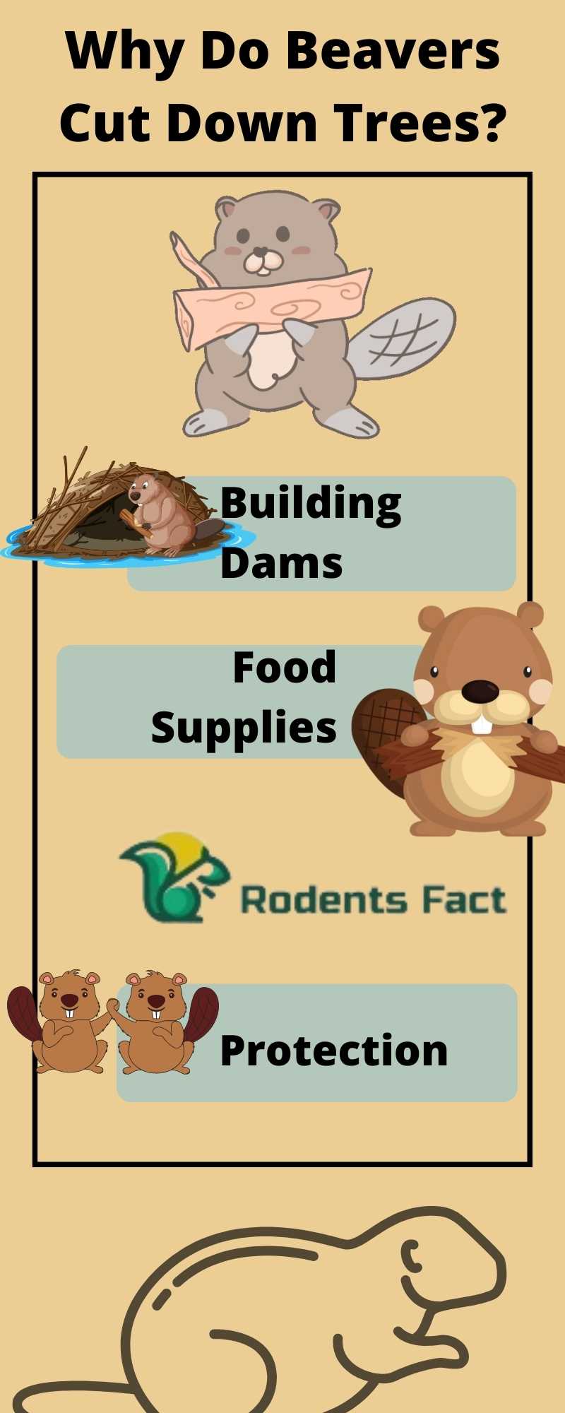 Why Do Beavers Cut Down Trees? । The Unpredictable Reasons