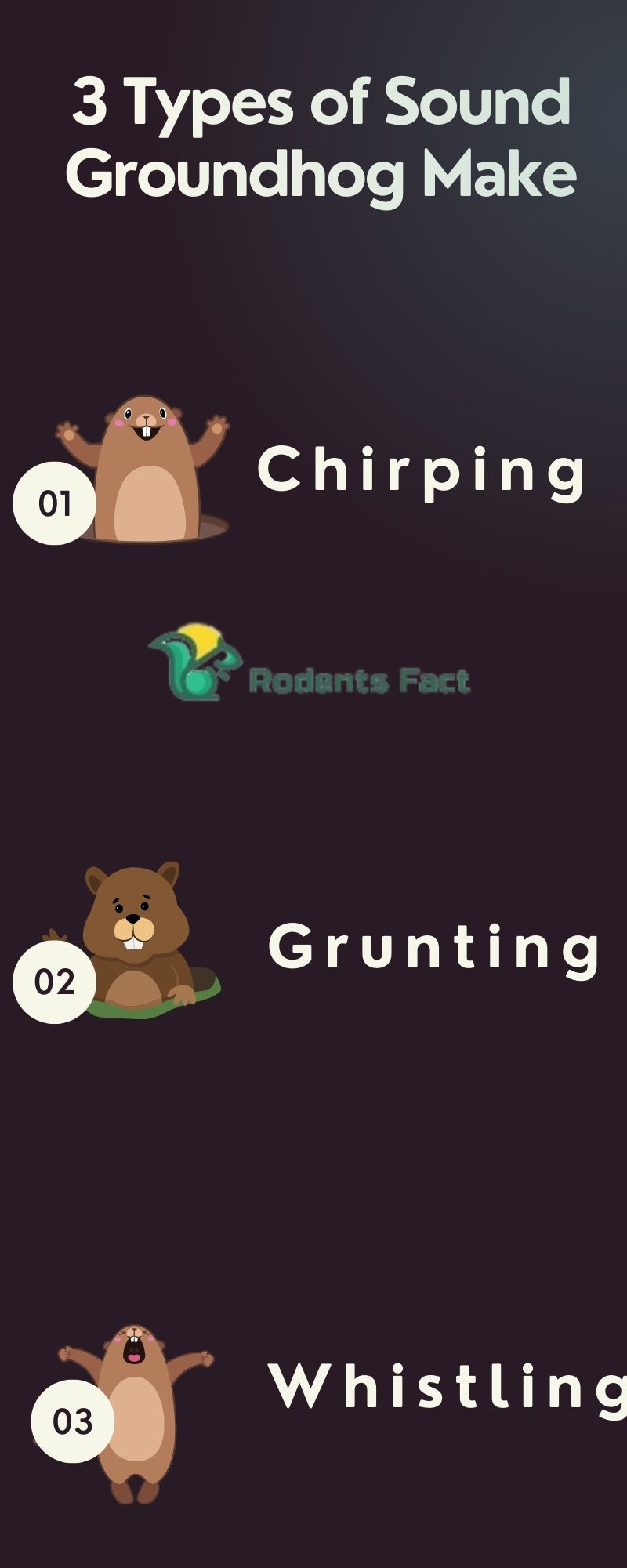 What Sound Does a Groundhog Make? Surprising Meaning of Different Sounds