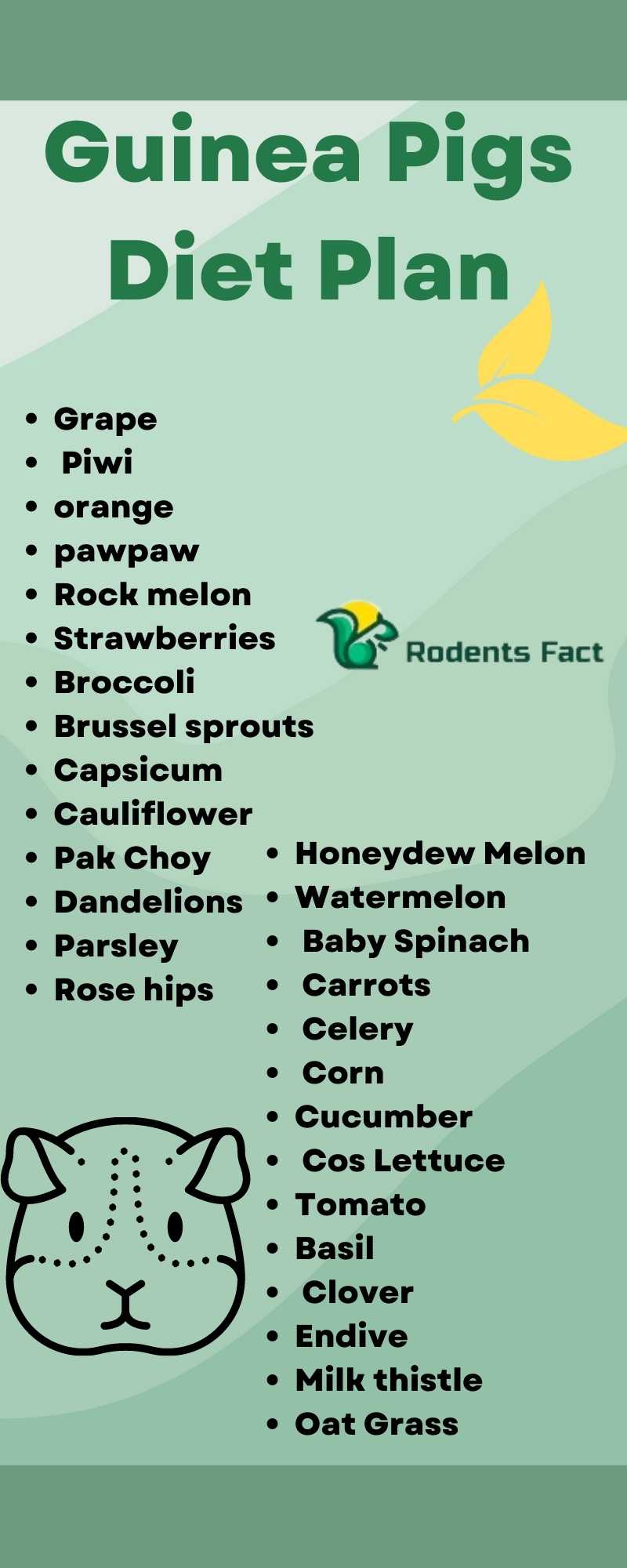Can Hamsters Eat Guinea Pig Food? Learn Important Facts