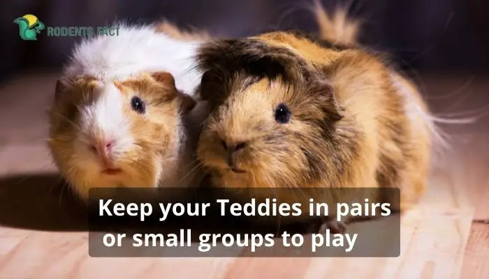 Keep your Teddies in pairs or small groups to play