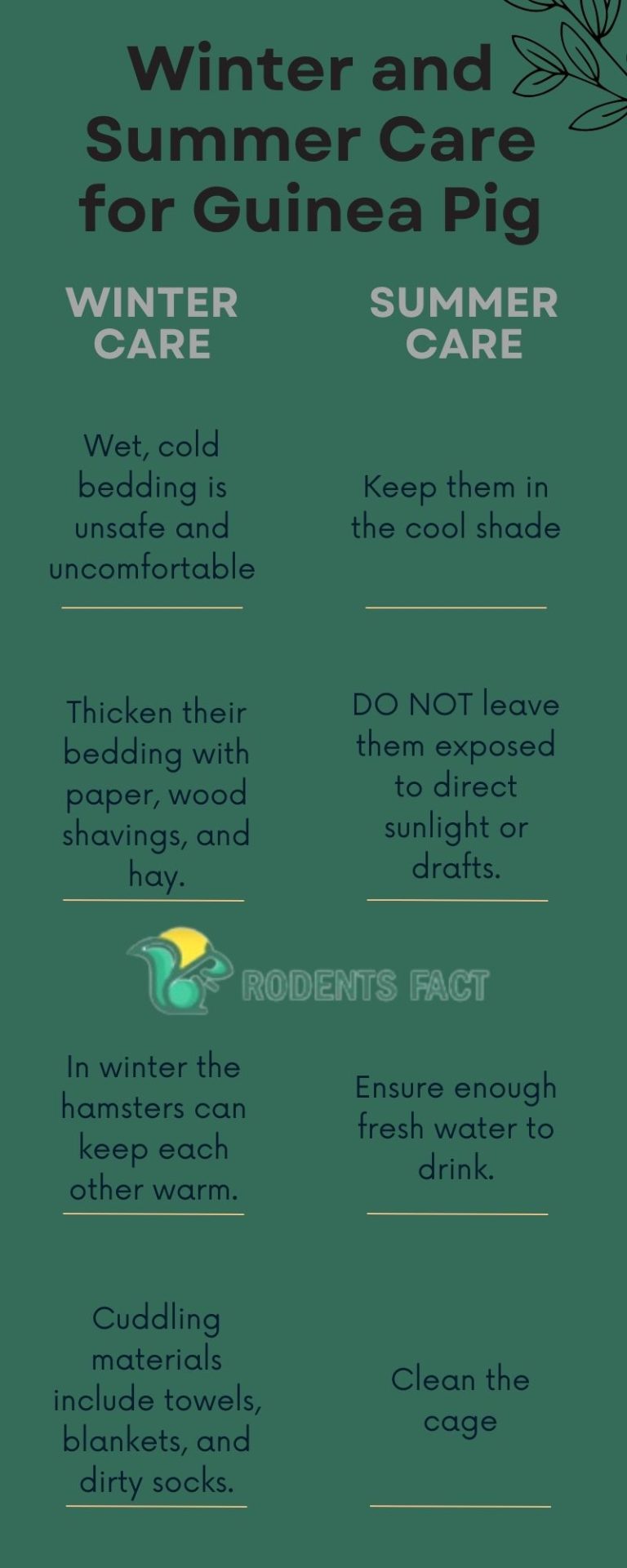 What Is The Perfect Temperature for Guinea Pigs?