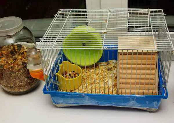 Cage Cleaning