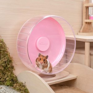 What Size Wheel for Hamsters? A Guide for Common Breeds - Compact Wheel Sizes For Active Hamsters
