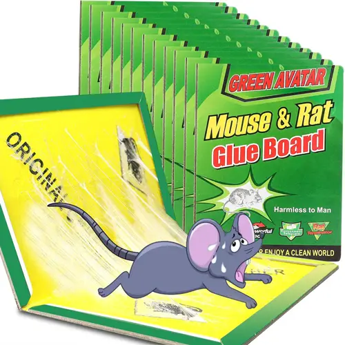 Glue Traps